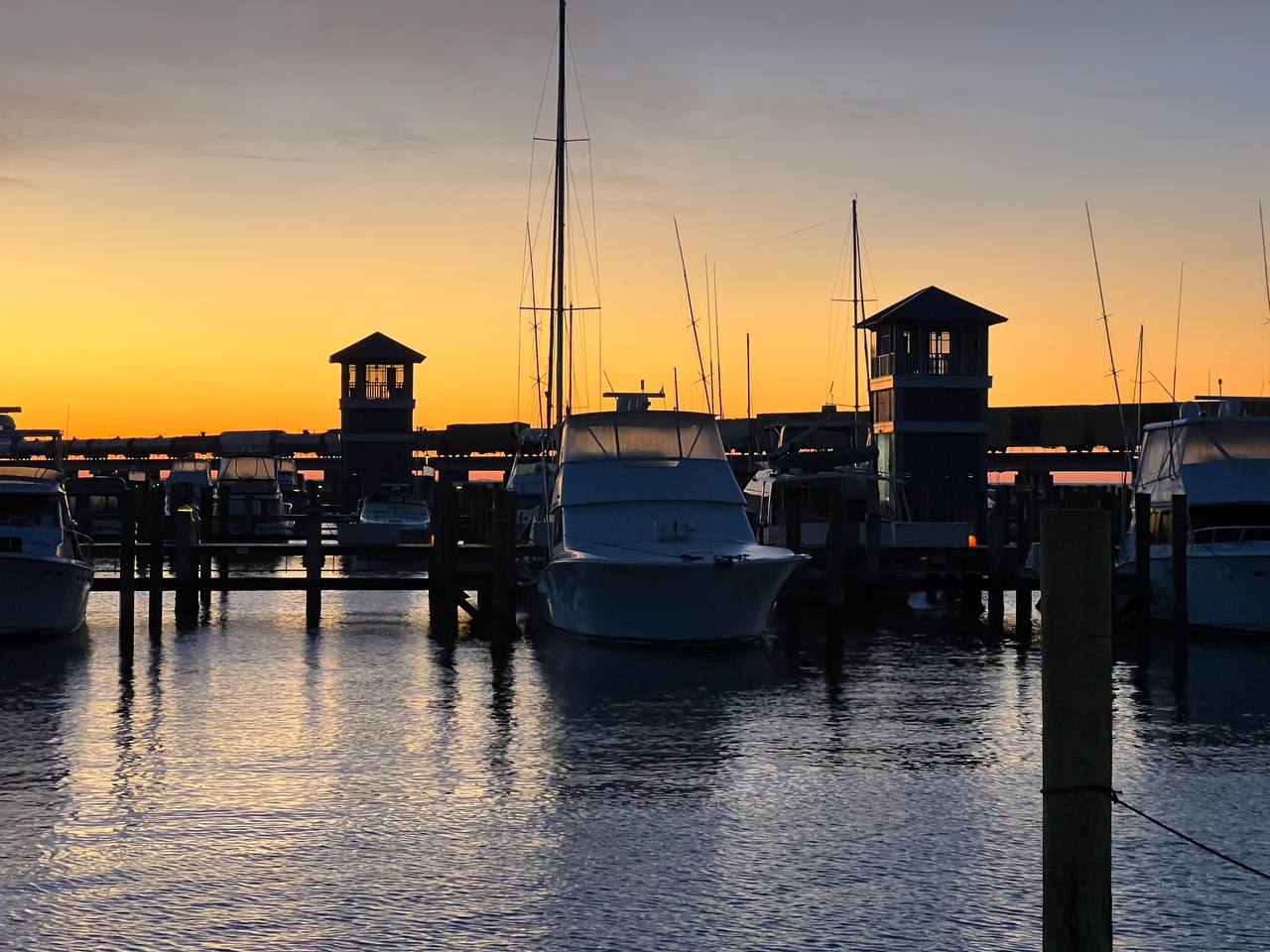 Marina at golden hour